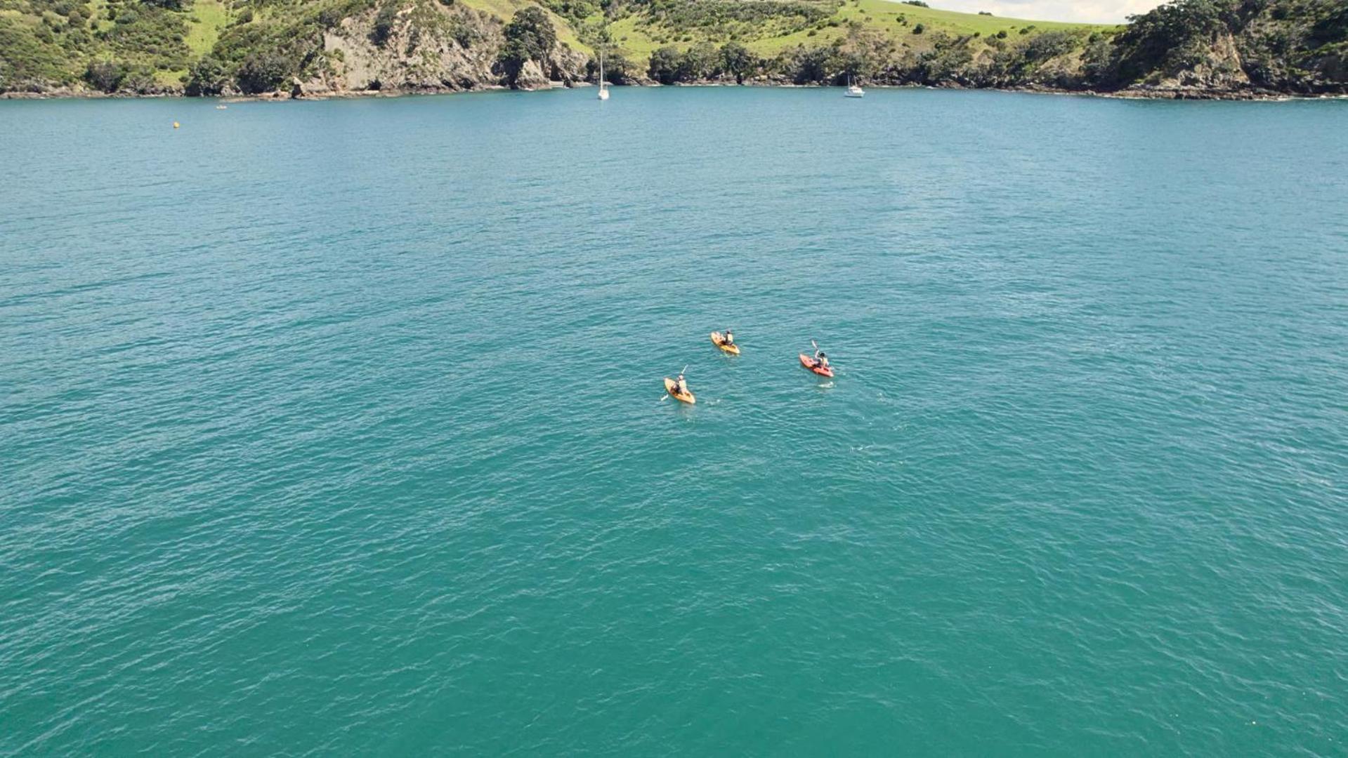 Waiheke Backpackers Hostel Onetangi Екстериор снимка