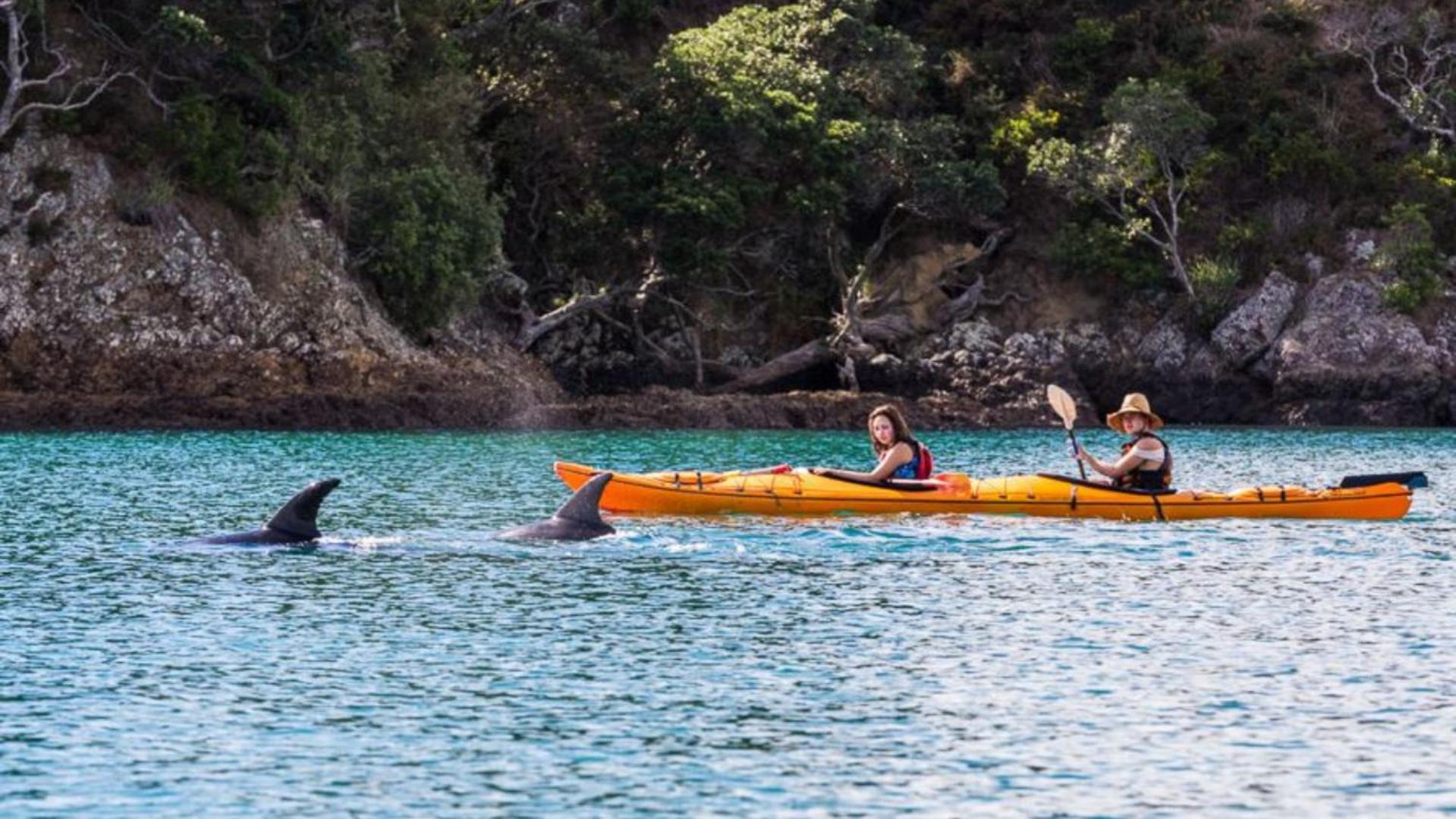 Waiheke Backpackers Hostel Onetangi Екстериор снимка