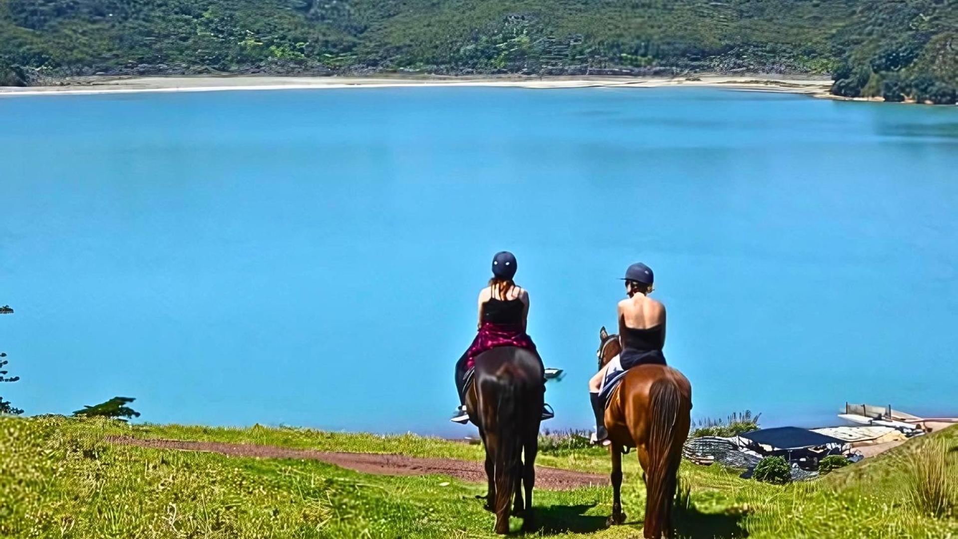 Waiheke Backpackers Hostel Onetangi Екстериор снимка